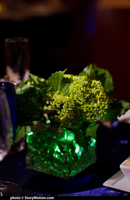 Sean went around to all the tables to steal the little LED lights.