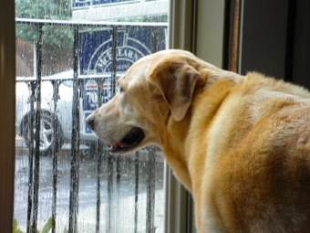 Bella nervous about the move