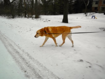 Bella wanted to ge here...