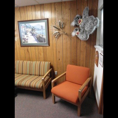 Koalas hang from the ceiling.