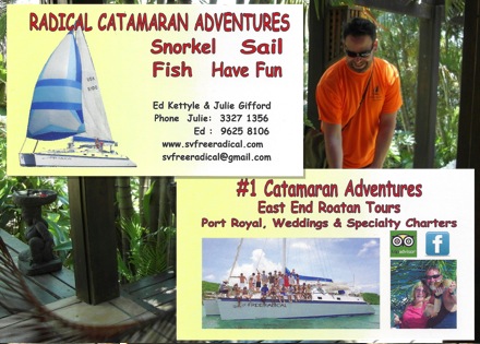 Radical catamaran card