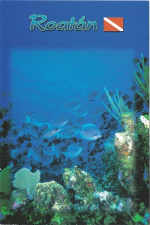 Roatan dive postcard