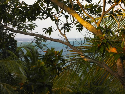 View from the fourth bedroom