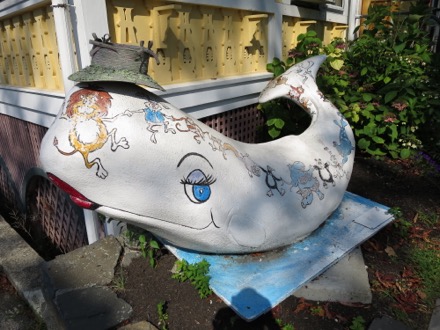 having a whale of a time