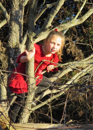 Carrigan, scared about losing the tooth