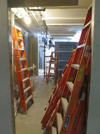 Orange ladders everywhere