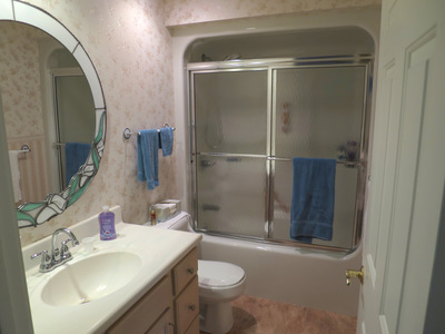 Anna's guest bathroom