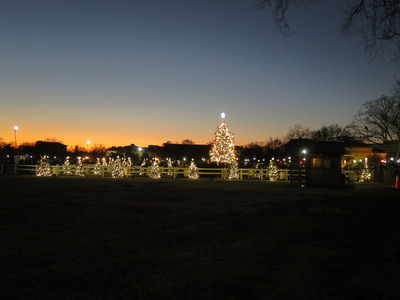 National Christmas Tree, we didn