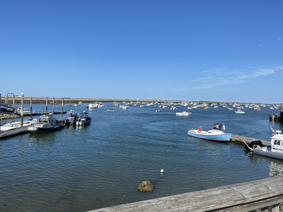 The marina is bustling with activity. Most boats are anchored in the harbor.