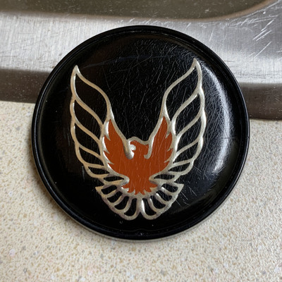 This is one of the emblems we ripped off our old car.