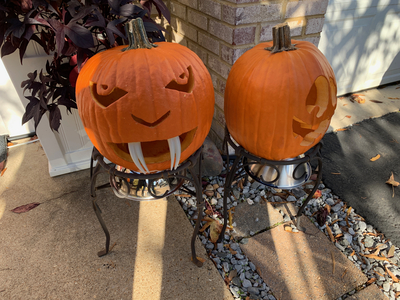 Patti has the fang city pumpkin