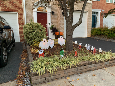 Spooky front yard
