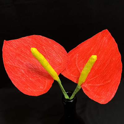 Anthurium