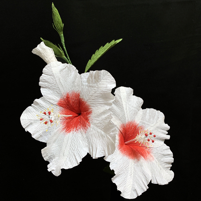 White Hibiscus