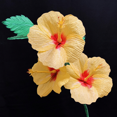 Yellow Hibiscus