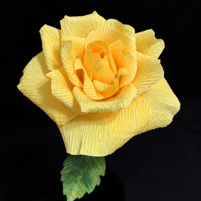 Yellow Rose