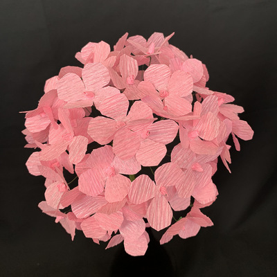 Pink Hydrangea