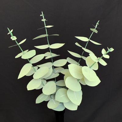 Eucalyptus Greenery, Baby Blue