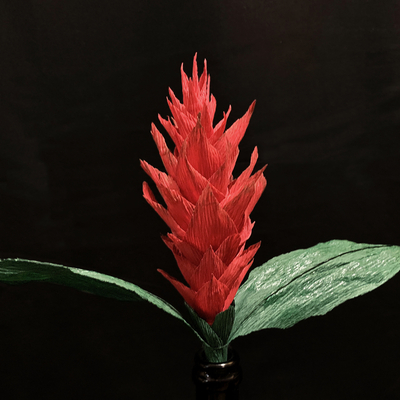 Red Ginger