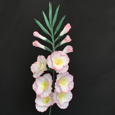 Gladiolas