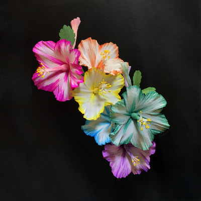 Rainbow Hibiscus