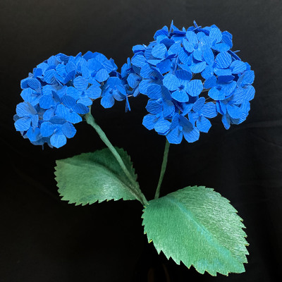 Deep Blue Hydrangea