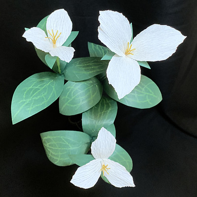 Trillium